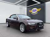 Audi A5 Cabriolet 3.0 TDI 1.Hand - Audi A5 mit Diesel-Antrieb: Cabrio, Automatik