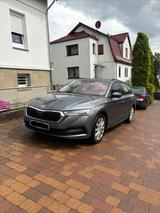 Skoda Octavia 2.0 TDI Massage Heizb. Lenkrad ACC