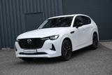Mazda CX-60 Homura Pano Headup 360°Kam Sitzbelüft. ACC - weiße Mazda CX-60