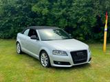 Audi A3 2.0TDI 140PS 6Gang Cabrio *Tüv-10.27* - Audi A3 140 ps mit Diesel-Antrieb