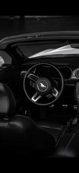 Ford Mustang 5.0 Ti-VCT V8 GT GT - Ford Mustang Gebrauchtwagen in Frankfurt