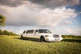 Andere Lincoln Town Car Stretchlimousine - Andere aus 1997