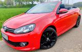 Volkswagen VW Golf 6 Cabrio Exclusive 2,0 TDI DSG - Volkswagen Golf mit Diesel-Antrieb: Cabrio, 2.0