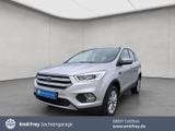 Ford Kuga 1.5 EcoBoost 4x4 Aut. Titanium  RFC*AWD - silberne Ford Kuga
