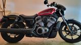 Harley-Davidson Sporster - Nightster 