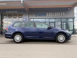 Volkswagen Golf 1.4 TGI DSG Comfortl. BlueMotion Variant - Volkswagen Golf mit CNG-Antrieb: Kombi