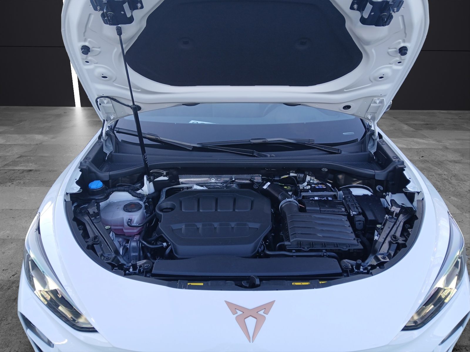 Fahrzeugabbildung CUPRA Terramar VZ 2.0 TSI AHK Sennh. Int.DriveXL