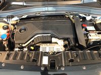 Fiat Grande Panda - Vorschau Bild 14