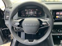 Skoda Karoq - Vorschau Bild 10
