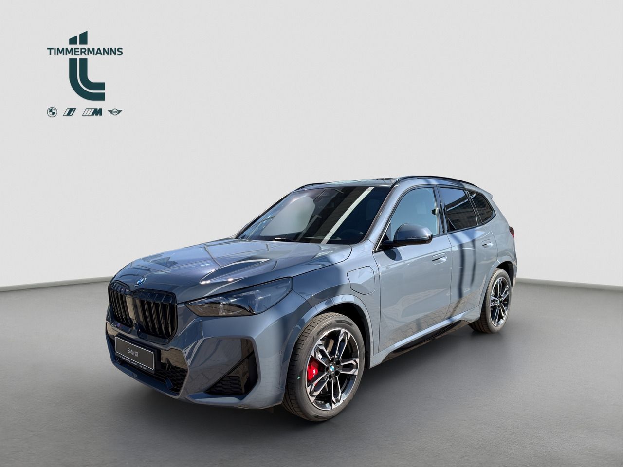 BMW X1 xDrive30e Steptronic M Sportpaket Panorama