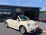 Volkswagen New Beetle Cabriolet 1.6 United - Volkswagen New Beetle: Cabrio
