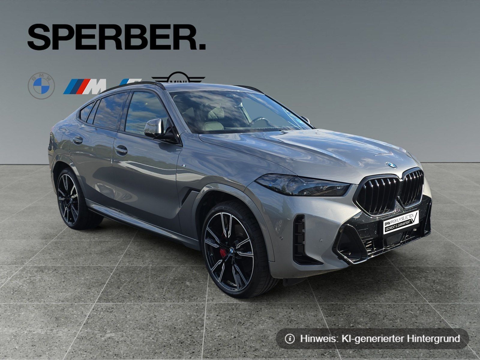 BMW X6 - Bild 7