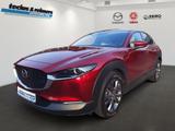 Mazda CX-30 SKYACTIV-X 186 AT Selection Design-P./Lede - Mazda CX-30 Gebrauchtwagen in Hamburg