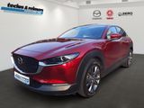 Mazda CX-30 SKYACTIV-X 186 AT Selection Design-P./Lede - Mazda CX-30 in Hamburg