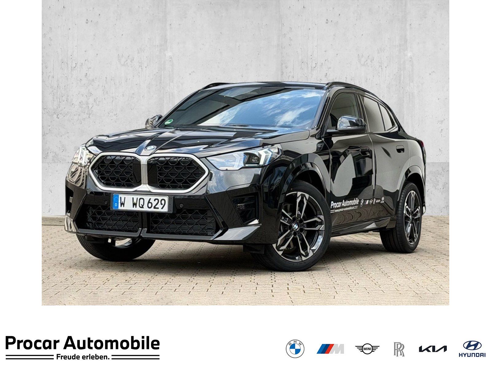 BMW X2 sDrive20i M Sport ACC RFK NAVI LED PDC V+H
