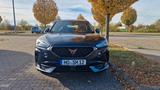 Cupra Formentor 1.5 TSI 110kW DSG - - Cupra Formentor Gebrauchtwagen in Essen