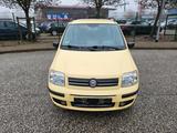 Fiat Panda 1.2 8V Emotion-KLIMA-Flüssiggas-TÜV NEU - Fiat Panda mit LPG-Antrieb: Kleinwagen