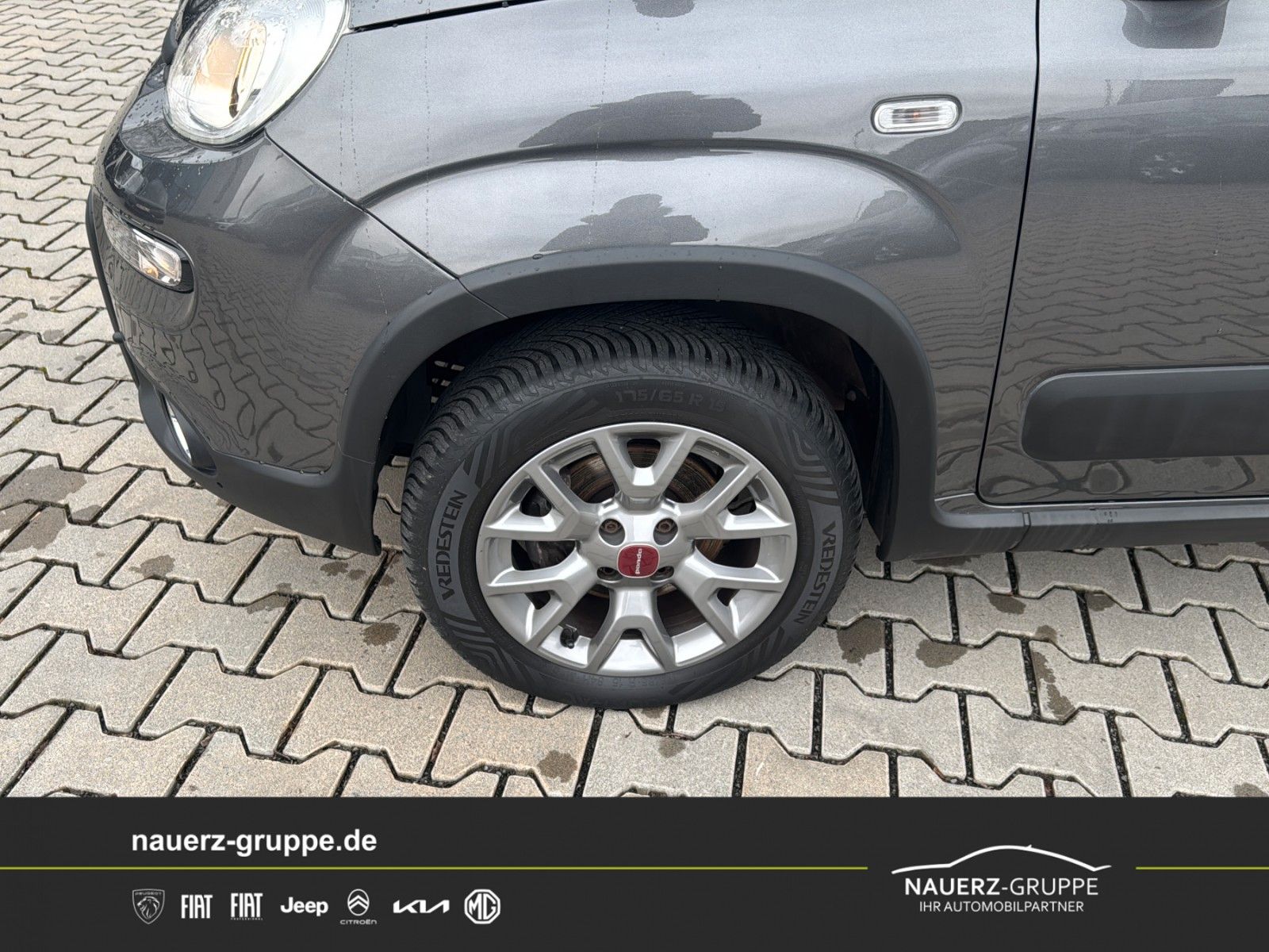 Fahrzeugabbildung Fiat Panda 4x4