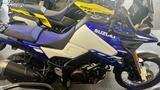 Suzuki DL 1050 DE