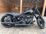 Harley-Davidson FLSTSE