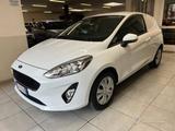 Ford FORD Fiesta 1.5 TDCi 85 CV 3 porte Van Business - Ford Fiesta mit Diesel-Antrieb: 1.3