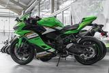 Kawasaki Ninja ZX4RR Performance, Modell 2025 - Kawasaki Motorräder in Magdeburg