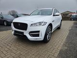 Jaguar F-Pace F-PACE R-Sport AWD - weiße Jaguar F-Pace