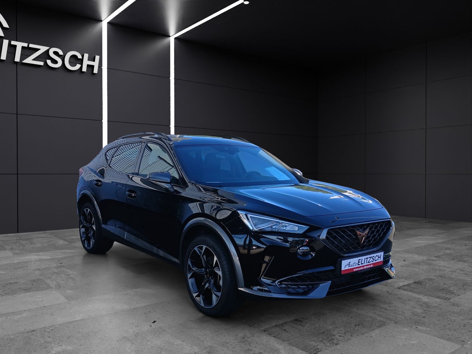 Fahrzeugabbildung CUPRA Formentor TSI DSG LED ACC RFK SH 19"
