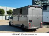 MAN TGE 3 - Sitzer *KLIMA PFERDEABTEIL* - MAN Kipper 4x4