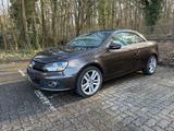 Volkswagen Eos 1.4 TSI BlueMotion Technol. Edition 2010... - Volkswagen Eos: Bluemotion
