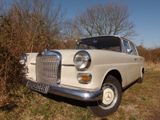 Mercedes-Benz 200 D- gut, günstig und zuverlässig! - Mercedes-Benz: Günstig