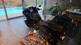Indian Pursuit Elite Limited 137/250   0Km !! - CHOPPER 250