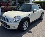 MINI COOPER Cabrio Cooper - MINI Cooper in Hamm