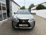 Lexus UX 200 Automatik Launch Edition - Lexus UX: Launch Edition