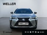 Lexus UX 250h Style+ Edition *LED*CarPlay*CAM*SHZ*TWA* - Lexus in Dortmund