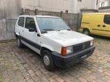 Fiat Panda 900 i.e. cat Hobby - gebrauchte Fiat Panda aus dem Jahr 2000