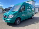 Mercedes-Benz Sprinter Kasten 313  (unverwüstlich)  - Angebote