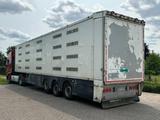Andere Berdex NO BERDEX HMK 4 stock livestock trailer S - Düngerstreuer