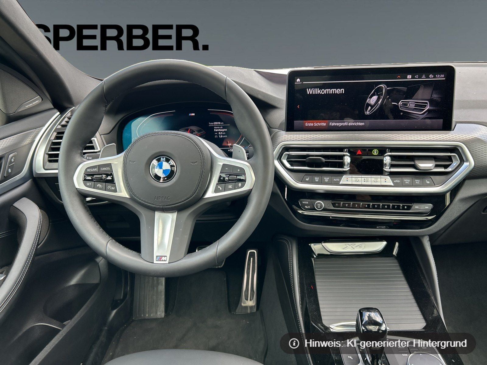 BMW X4 - Bild 16