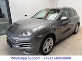 Porsche Cayenne 3.0 Diesel Platinum Edition PANO STH - Porsche in Göttingen