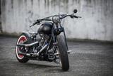 Harley-Davidson Springer Bobber Umbau Custom Softail - HARLEY-DAVIDSON 2002 SOFTAIL