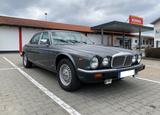 Jaguar Daimler Double Six, 1. Hand nur 49.500km! - Jaguar: Double Six