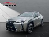 Lexus UX 250h*STYLE*1HD*CARPLAY*SHZ* 15J-GARANTIE* - Lexus Gebrauchtwagen von 2022