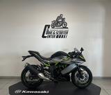 Kawasaki Ninja 125 Modell 2026 - SOFORT Verfügbar! - KAWASAKI V 12