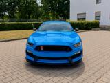 Ford Mustang Gt350 Shelby 5.2l V8 Track Pack Recaro - Ford Mustang: Gt350
