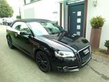 Audi A3 Cabriolet Ambition Motor 60.000km Top-Zustand - Audi A3: Motor