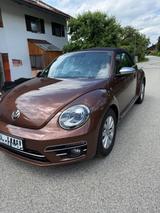 Volkswagen Beetle Cabrio - Volkswagen Beetle mit Diesel-Antrieb: Cabrio