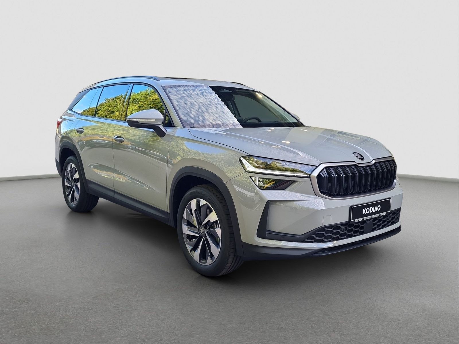 Skoda Kodiaq - Bild 5