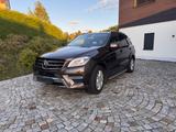 Mercedes-Benz ML 350 BlueTEC 4MATIC AMG LUFT AHK 07/28 - Mercedes-Benz: 3.0