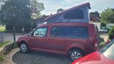 Volkswagen Caddy Maxi Life, Reimo Schlafdach, Minicamper - Angebote entsprechen deinen Suchkriterien